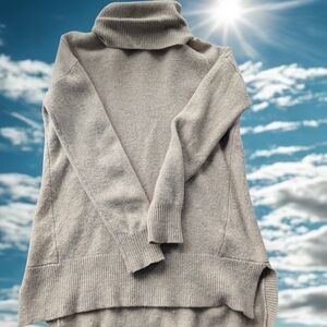 Wool Madewell Turtleneck Sweater